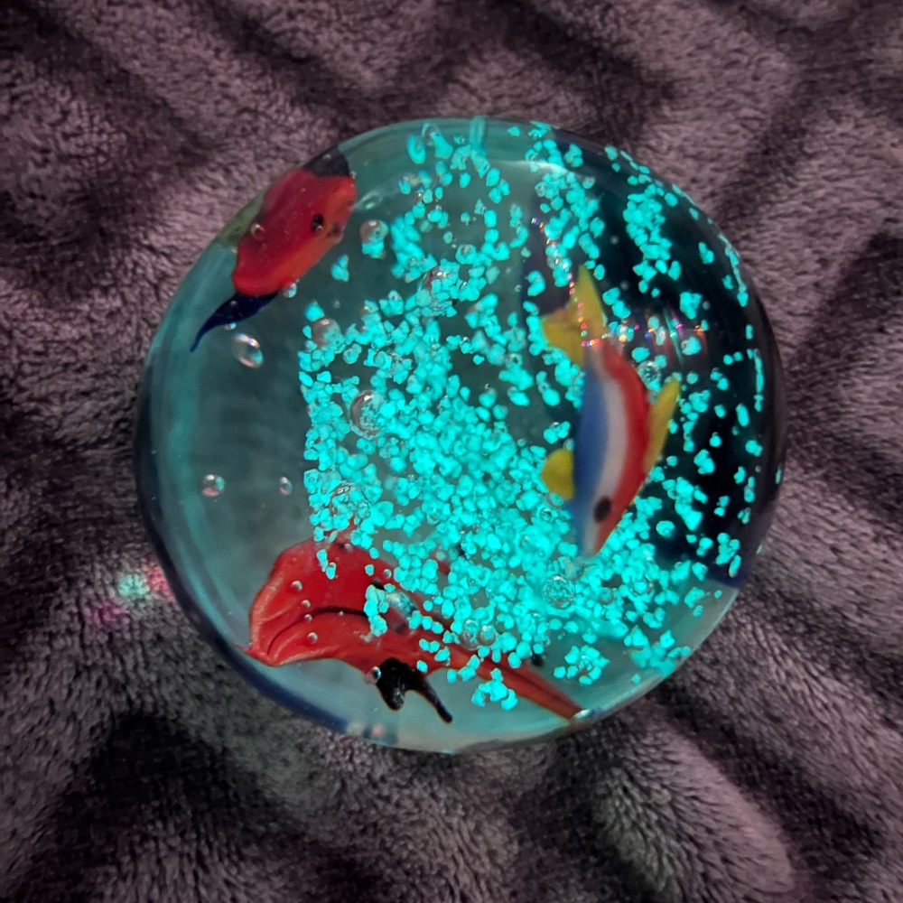 Paper weight Glass